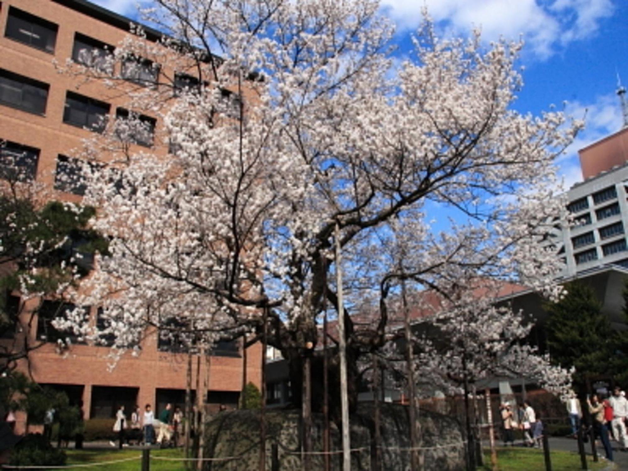 Kita Hotel - Vacation Stay 69754V Morioka Exterior foto